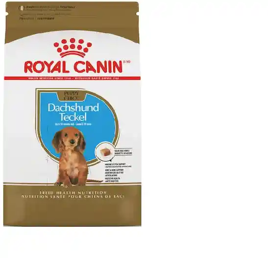 Royal Canin Alimento Dachshund Puppy