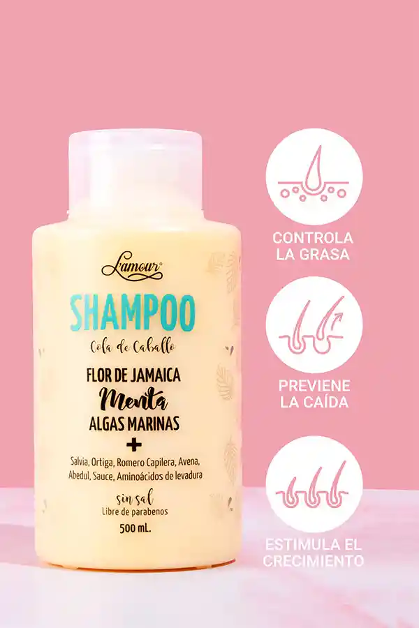 Shampoo Cola De Caballo 500 Ml L'amour Tutorial