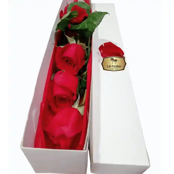 Caja De Rosas X3 Para Regalar