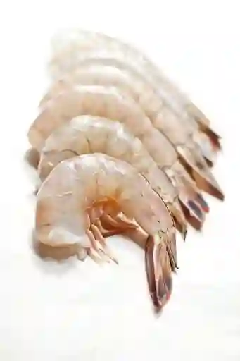 Langostino