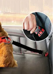 Correa Para Perro Cinturón De Seguridad De Auto