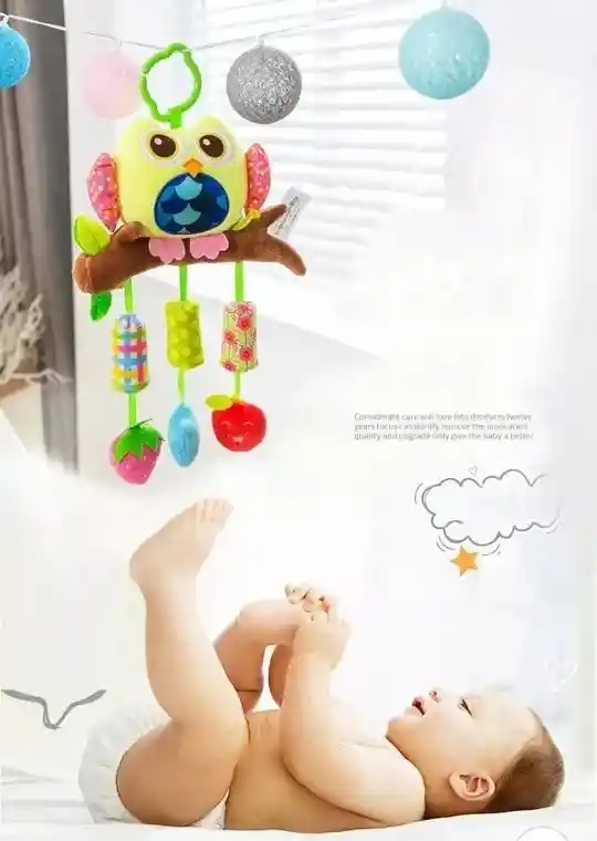 Sonajero Para Bebe Didáctico Mordedor