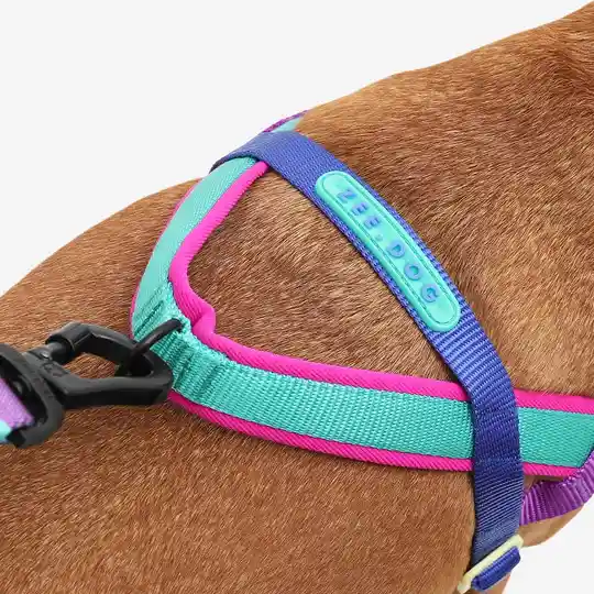 Zee.dog Softer Walk Harness Ref Shockwave Talla L