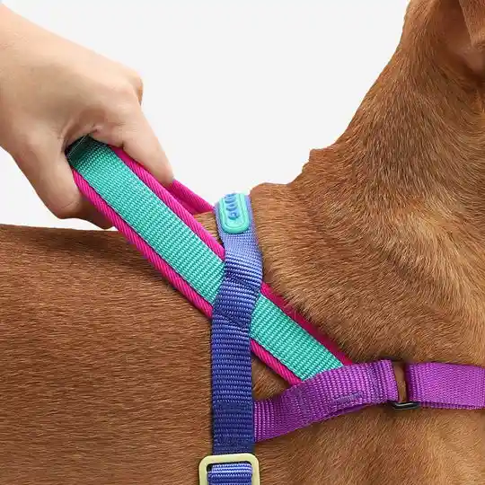 Zee.dog Softer Walk Harness Ref Shockwave Talla L