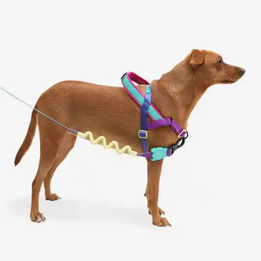 Zee.dog Softer Walk Harness Ref Shockwave Talla L