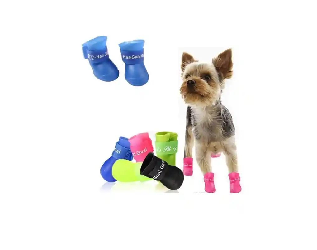 Zapatos Para Mascotas Tallas Grandes Xl