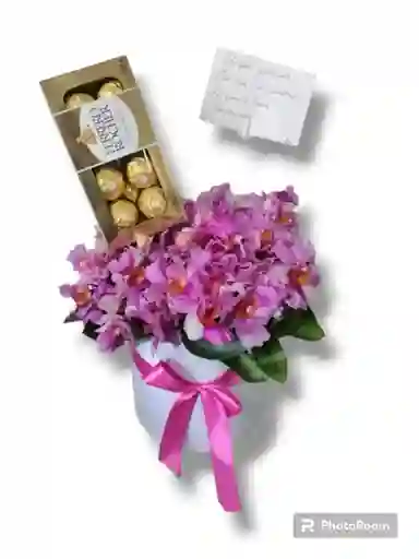 Euforia Florar Con Orquídeas