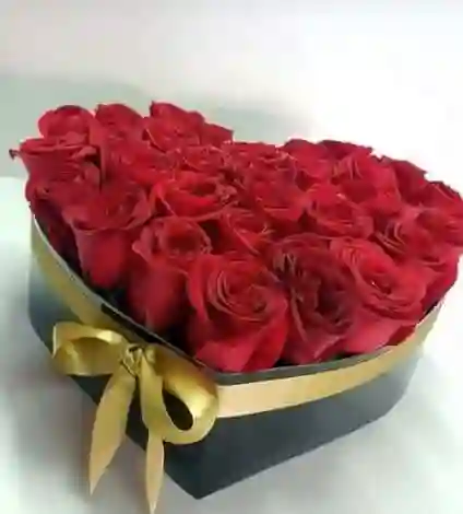 Dulce Encanto Corazon