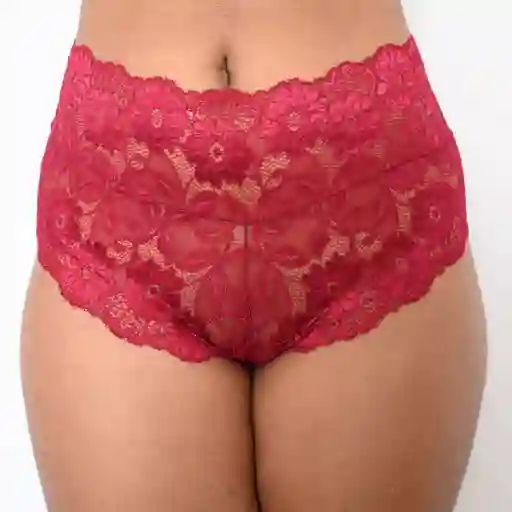 Talla Xl Panty De Encaje Cachetero Sofia Vinotinto