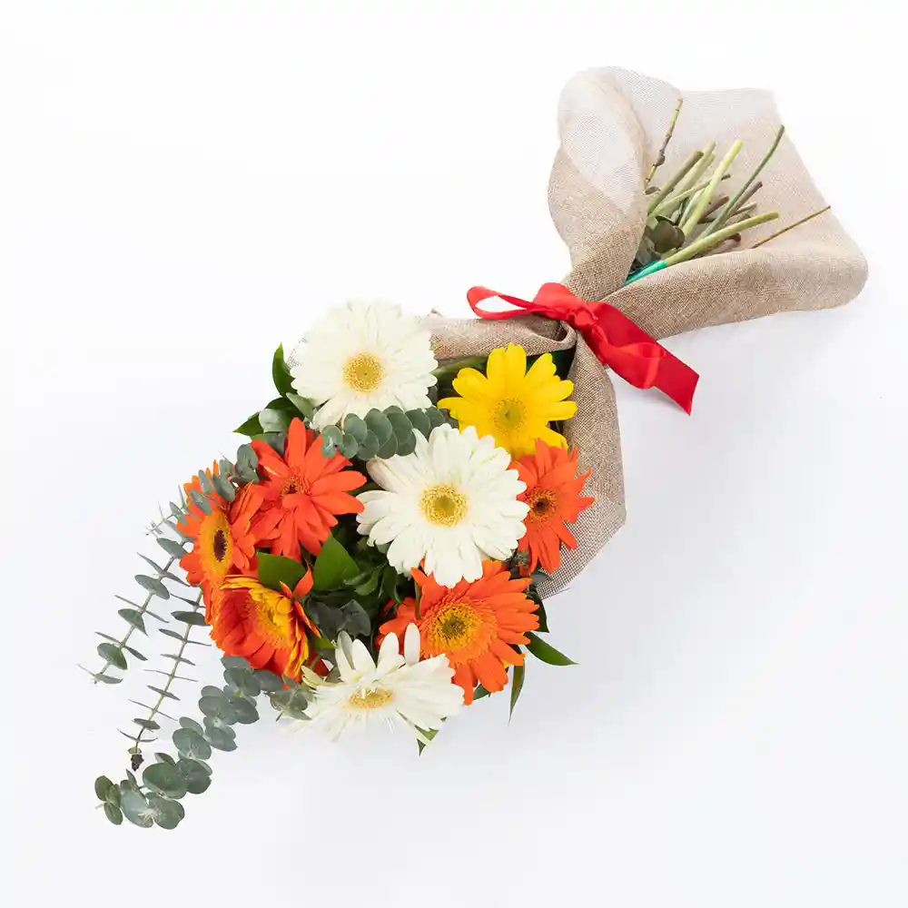 Bouquet De 9 Gerberas