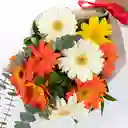 Bouquet De 9 Gerberas