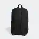 Morral Motion Linear