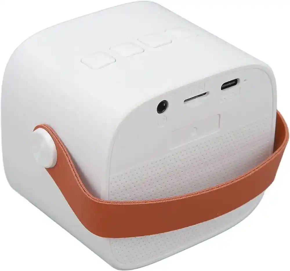 Mini Altavoz/parlante Bluetooth, Inalámbrico Karaoke Con Micrófono (blanco)