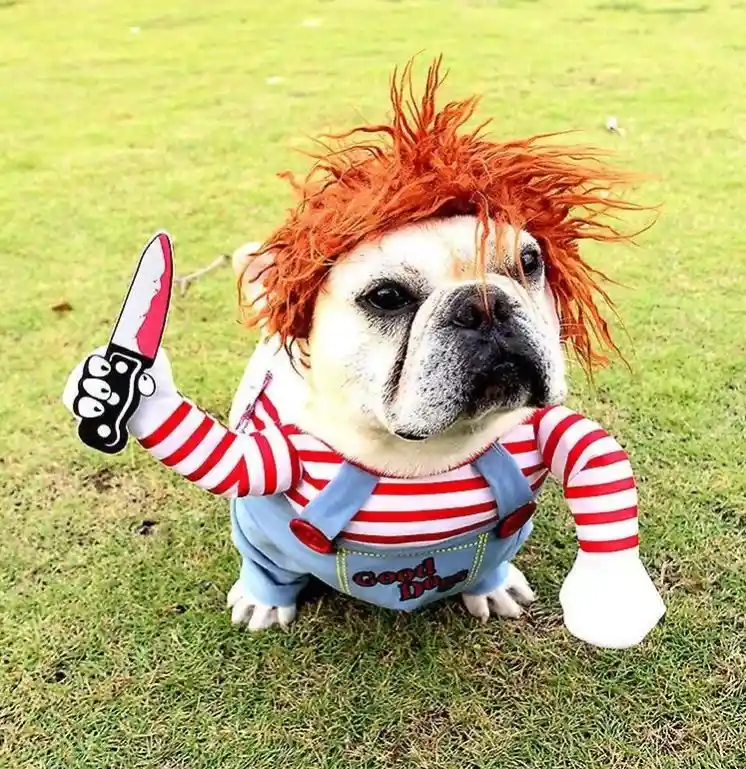 Disfraz Chucky Para Perro Halloween Razas Pequeñas Y Medianas