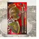 Set Medieval Disfraz Boy Toys Escudo Espada Casco Guerrero