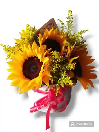Amanecer Floral