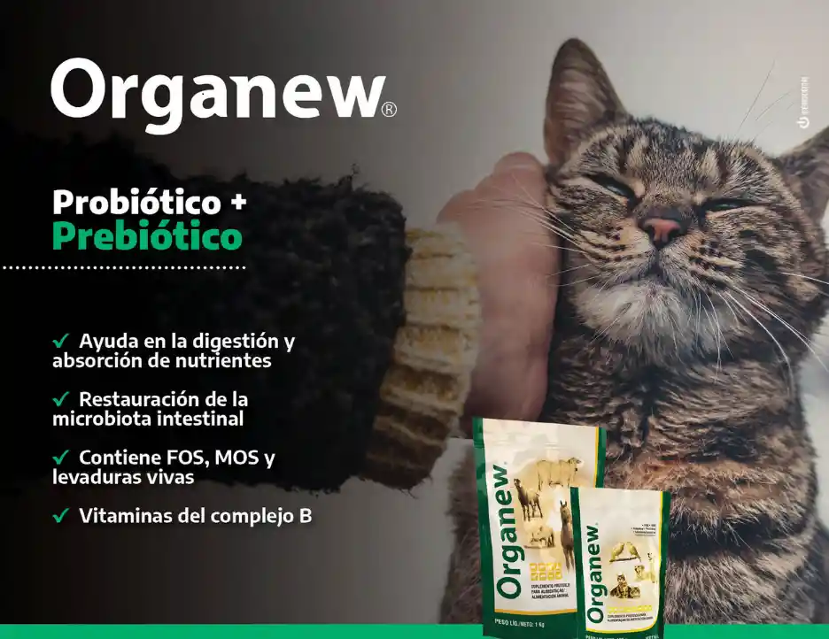 Organew Probiotico Y Prebiotico Para Gatos Y Perros X 100gr