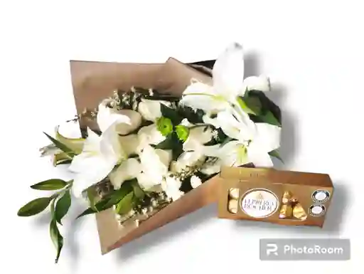 Encanto Albino