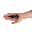 Anubis Plug Anal Enzo