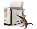 Rascador De Gato Para Sofa