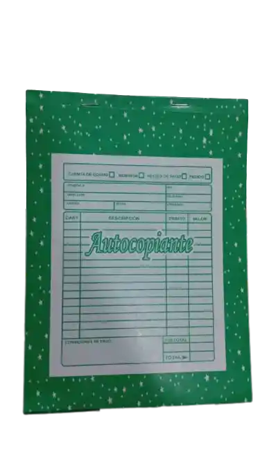Facturero Autocopiante Grande
