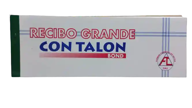 Recibo Grande Con Talon X80