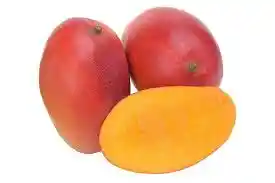 Mango Yulima