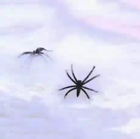 Telaraña Pequeña, Color Blanco