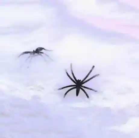 Telaraña Pequeña, Color Blanco