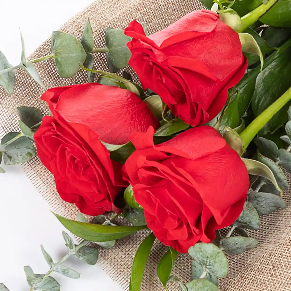 Bouquet De 3 Rosas Rojas Combo Chocolate Con Ferrero Rocher Pequeño