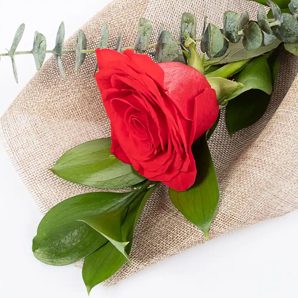 Ramillete De 1 Rosa Decorada Roja Combo Chocolate Con Ferrero Rocher Pequeño