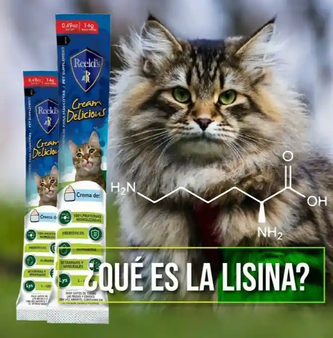 Snack Para Gato Crema De Arenque 14 Gr