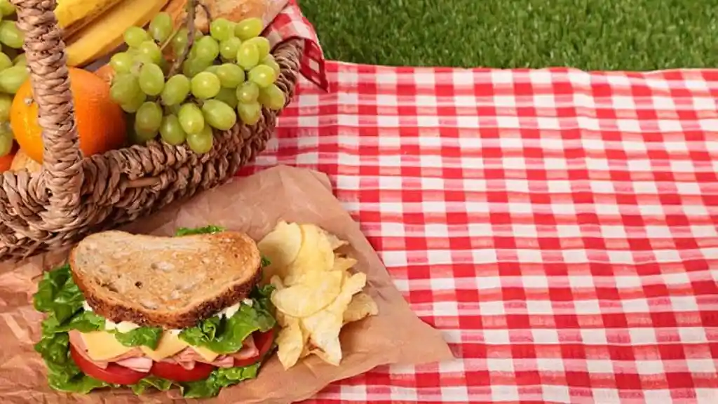 Mantel Para Picnic En Tela Rectangular - Rojo Y Blanco