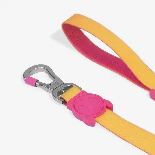 Zee.dog Regular Leash Neopro Ref Lyra Talla L