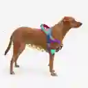 Zee.dog Softer Walk Harness Ref Shockwave Talla S