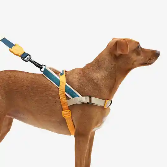 Zee.dog Softer Walk Harness Ref Voyage Talla S