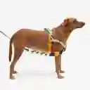 Zee.dog Softer Walk Harness Ref Voyage Talla S