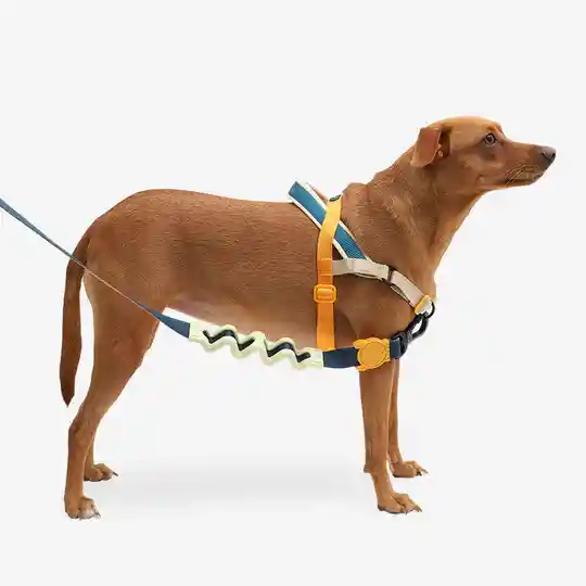 Zee.dog Softer Walk Harness Ref Voyage Talla S