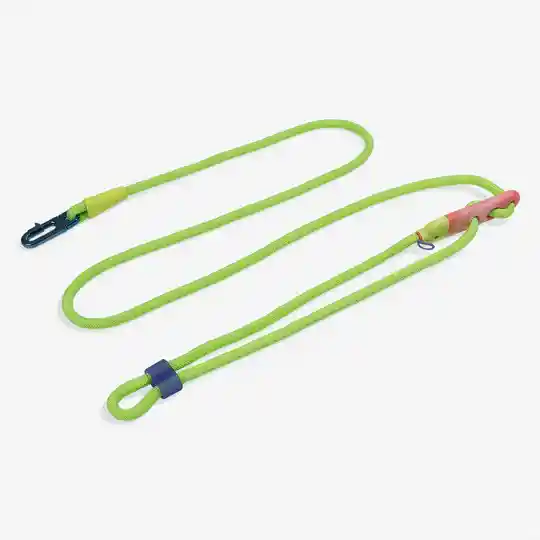 Zee.dog Hands Free Leash Glo