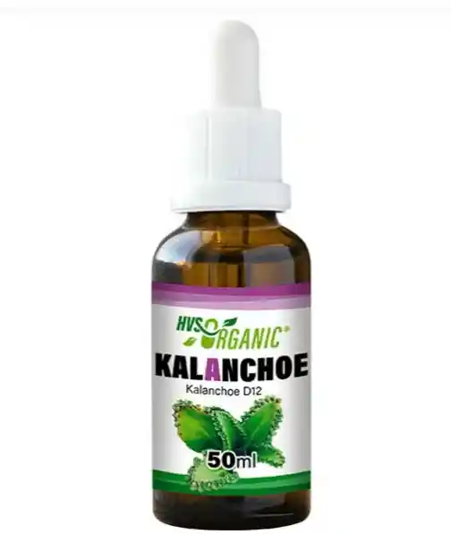 Kalanchoe X 50 Ml