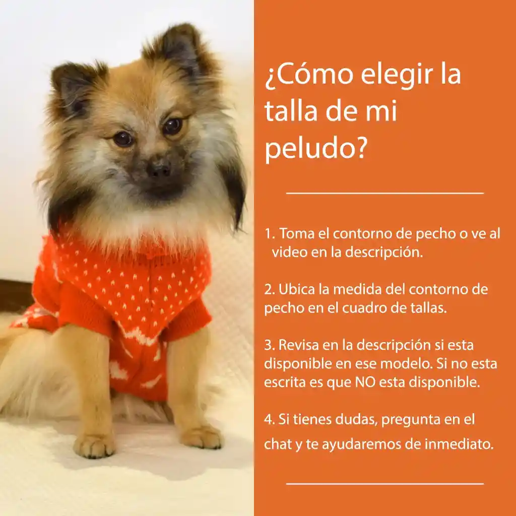 Disfraz Para Perrro Hoddie Perrito