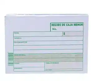 Recibo De Caja Menor Pequeño X100