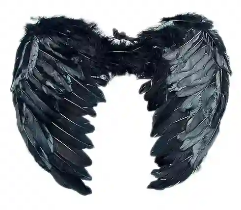 Alas De Angel Grandes De Plumas Color Negro Halloween Disfraz