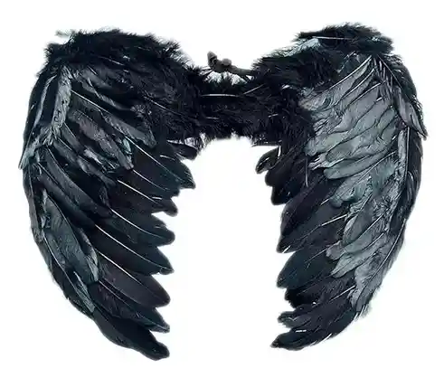 Alas De Angel Medianas De Plumas Color Negro Halloween Disfraz