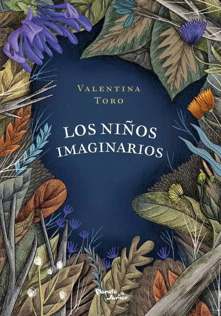 Los Niños Imaginarios