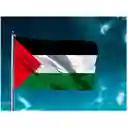 Bandera Palestina 1.50x90cm Exterior Grande