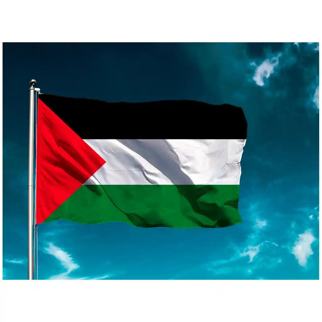 Bandera Palestina 1.50x90cm Exterior Grande