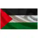 Bandera Palestina 1.50x90cm Exterior Grande