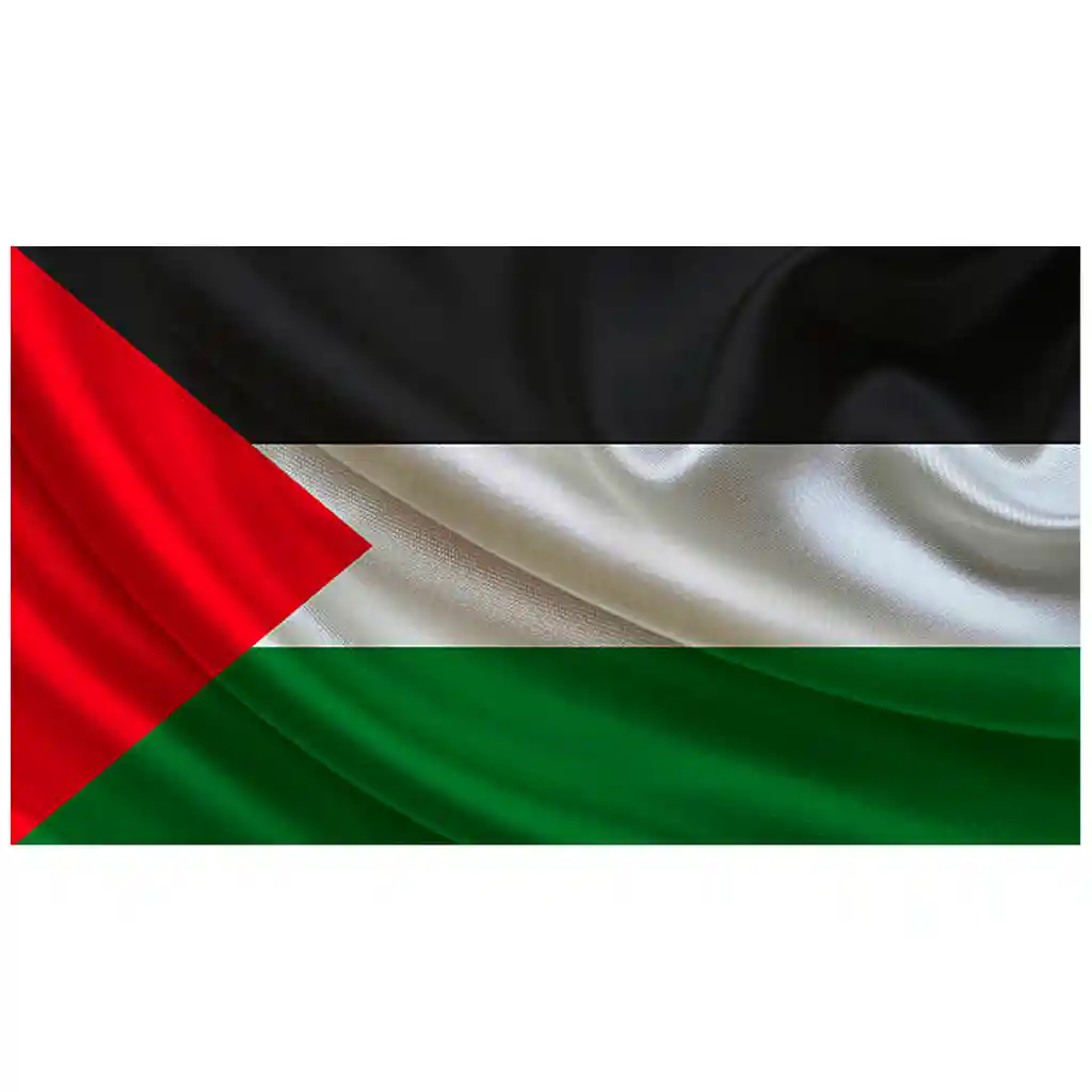 Bandera Palestina 1.50x90cm Exterior Grande