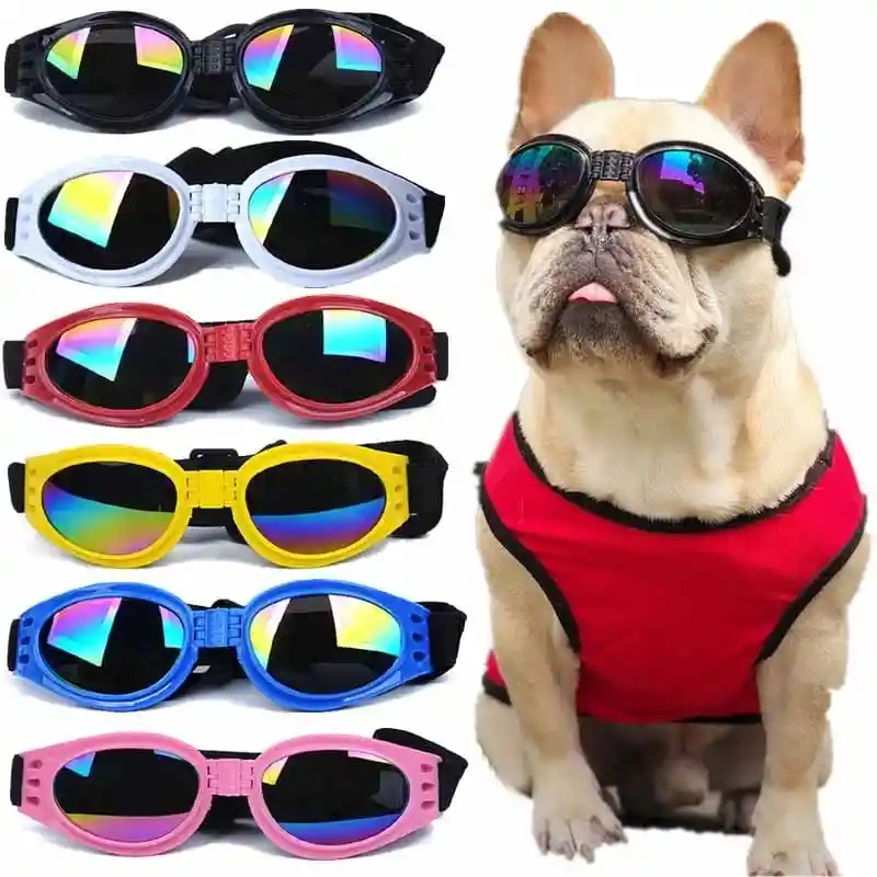 Gafas Plegables Para Mascotas, Color Negro